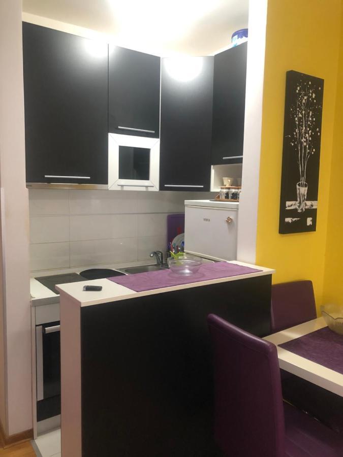 Apartman Tanjuska Подгорица Екстериор снимка